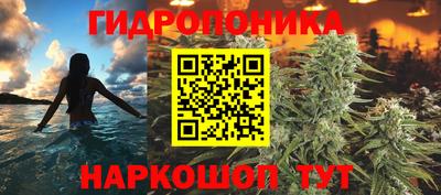 ALPHA PVP Моздок