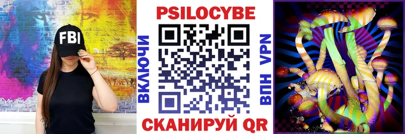 Псилоцибиновые грибы Psilocybine cubensis  Юрга 