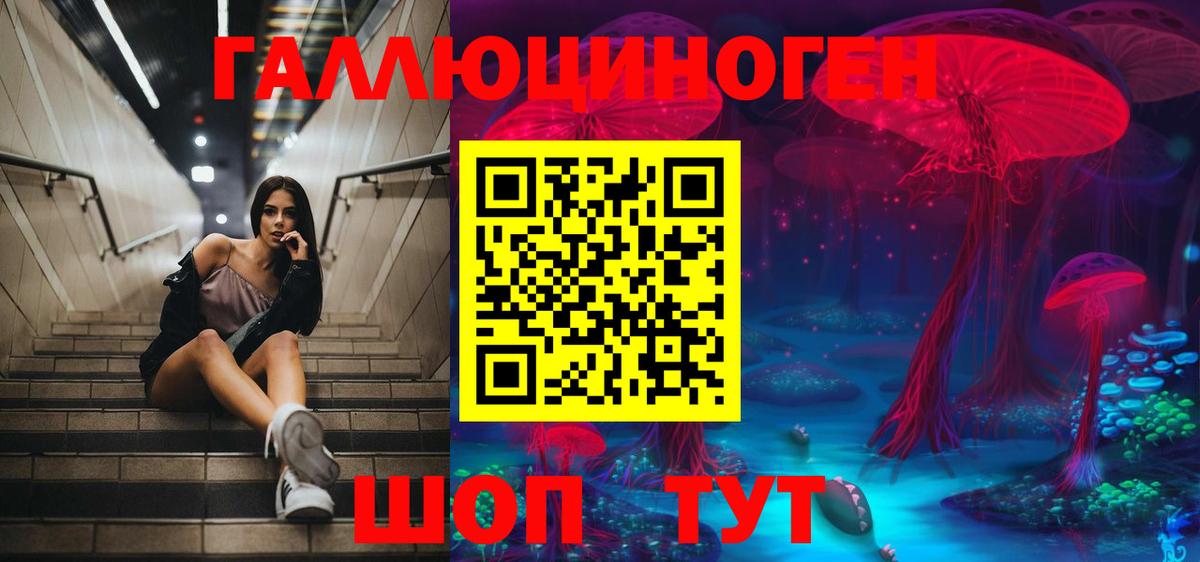 Юрга  Галлюциногенные грибы Cubensis  Галлюциногенные грибы мицелий  Вход с VPN 