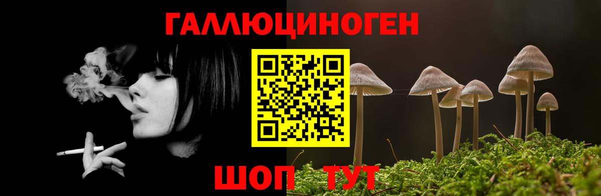 Псилоцибиновые грибы Psilocybine cubensis Юрга